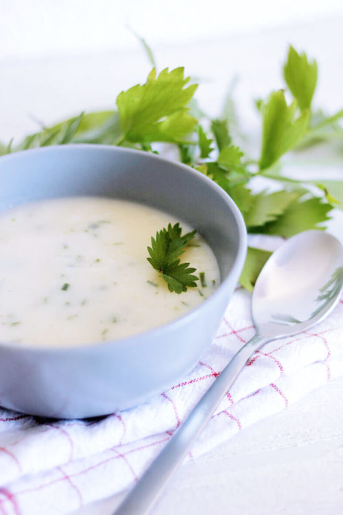 White Asparagus Soup