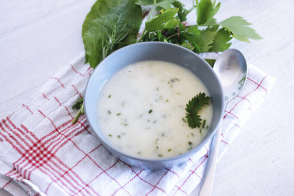 White Asparagus Soup